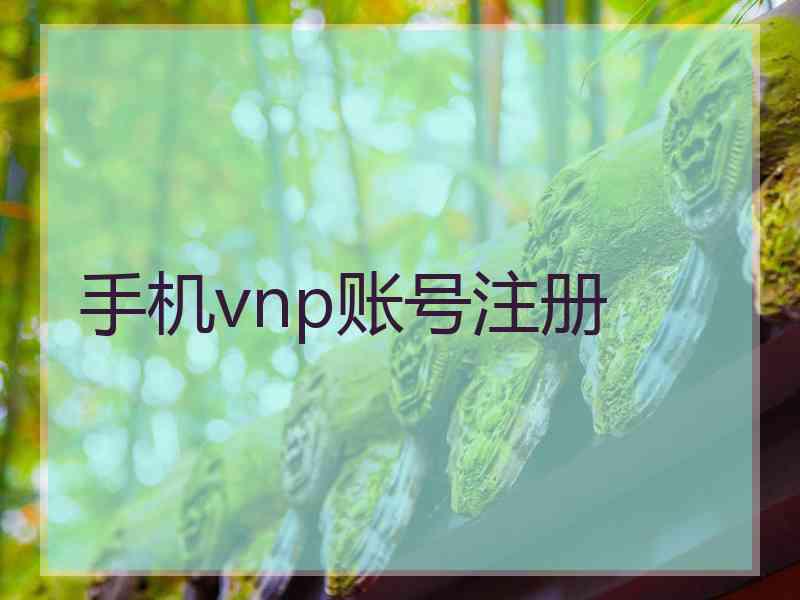 手机vnp账号注册