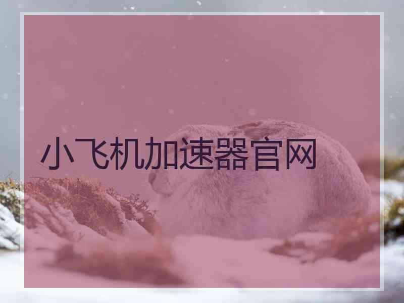 小飞机加速器官网