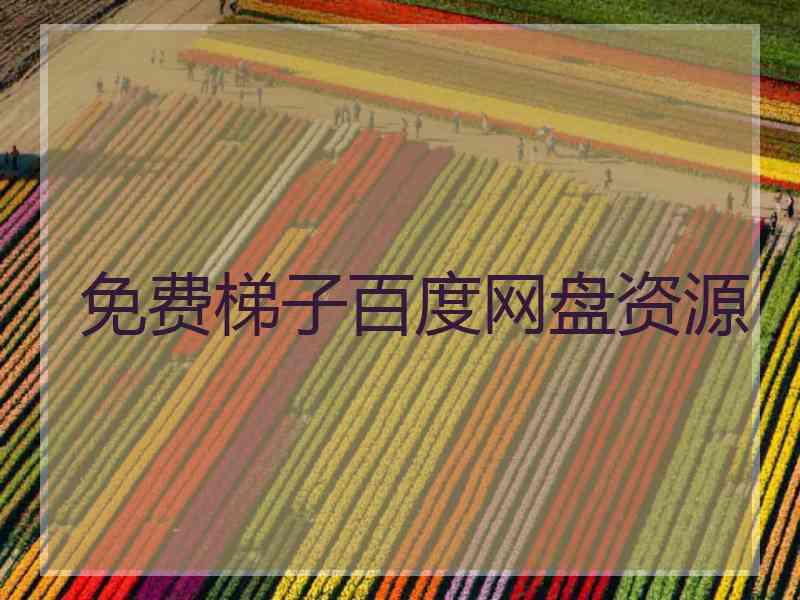 免费梯子百度网盘资源