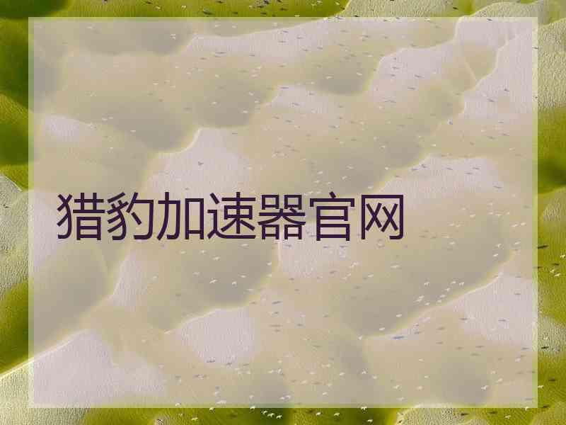 猎豹加速器官网