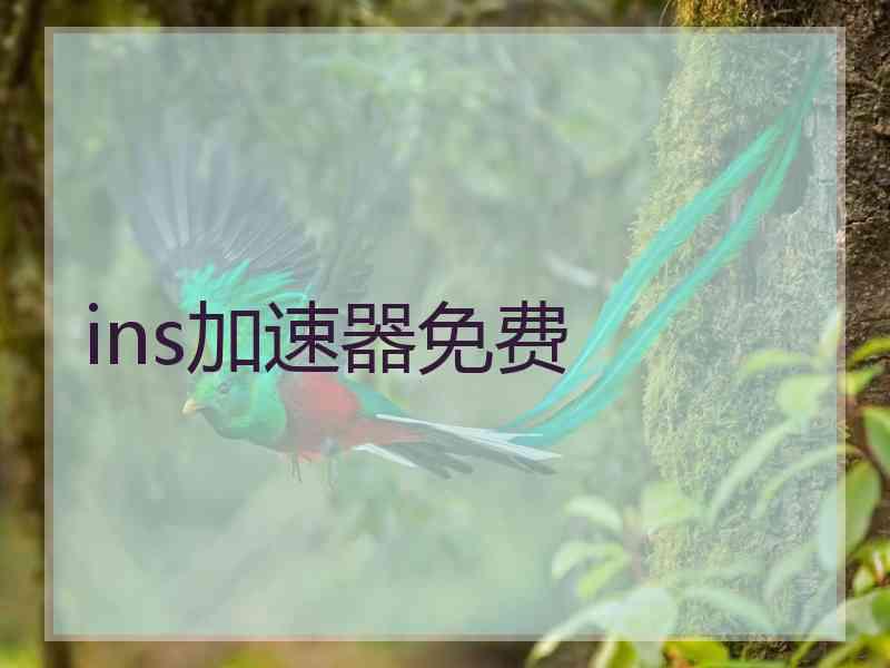ins加速器免费