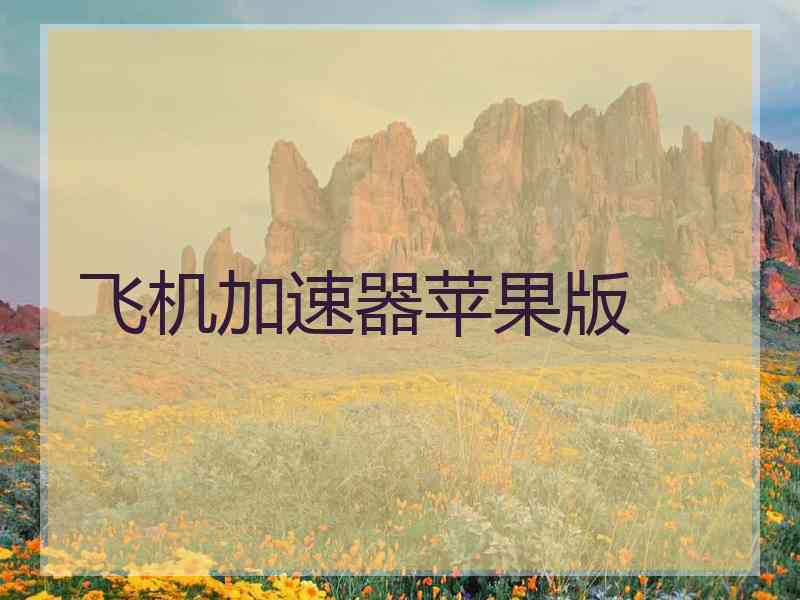飞机加速器苹果版
