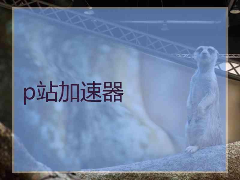 p站加速器