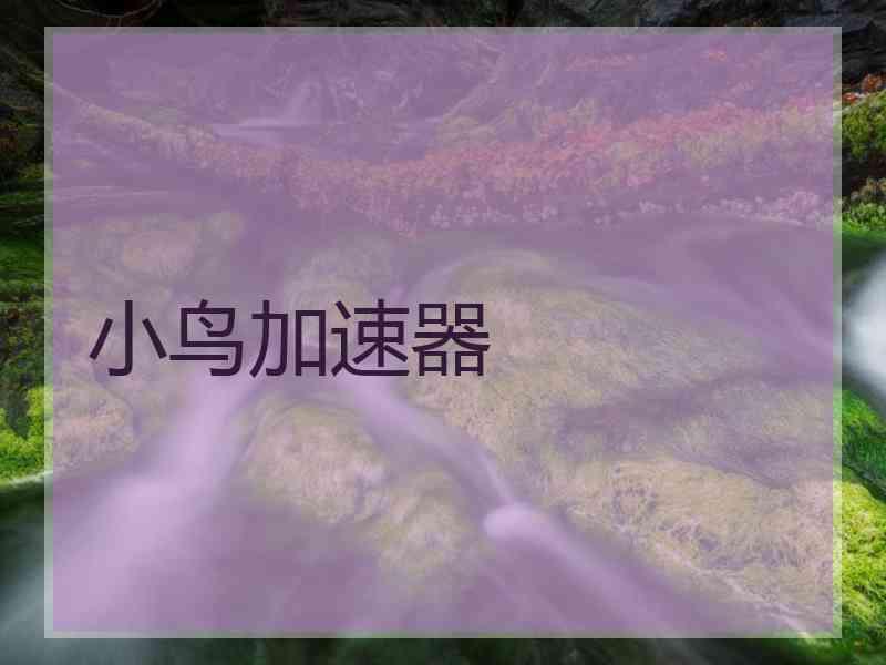 小鸟加速器