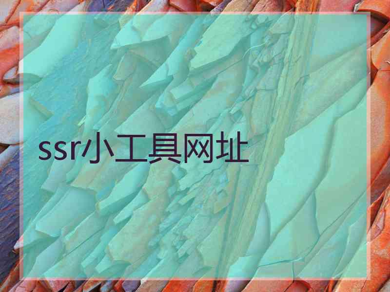 ssr小工具网址