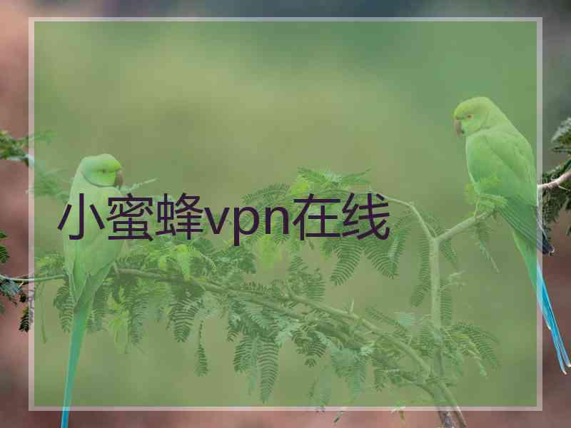 小蜜蜂vpn在线