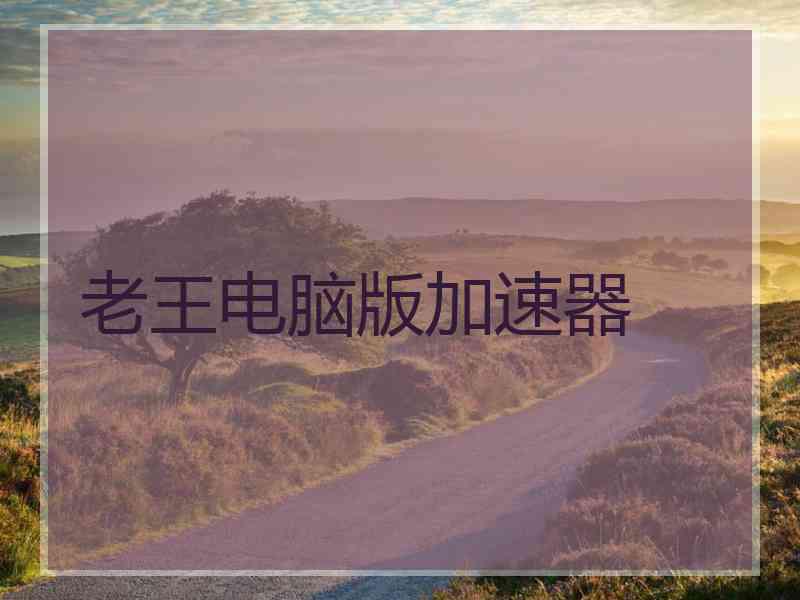 老王电脑版加速器