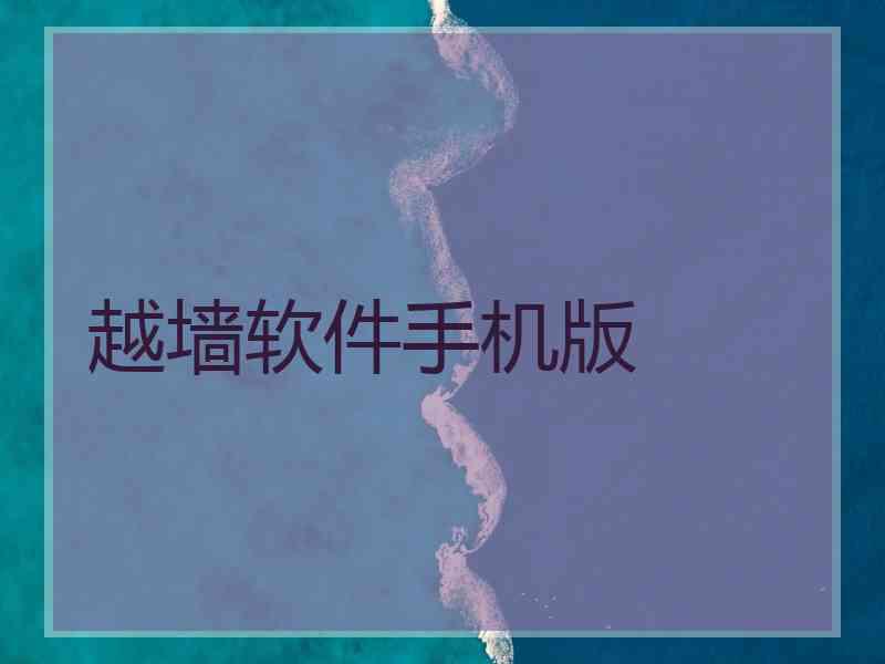 越墙软件手机版