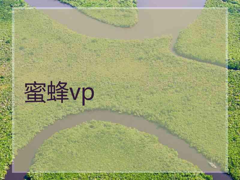 蜜蜂vp