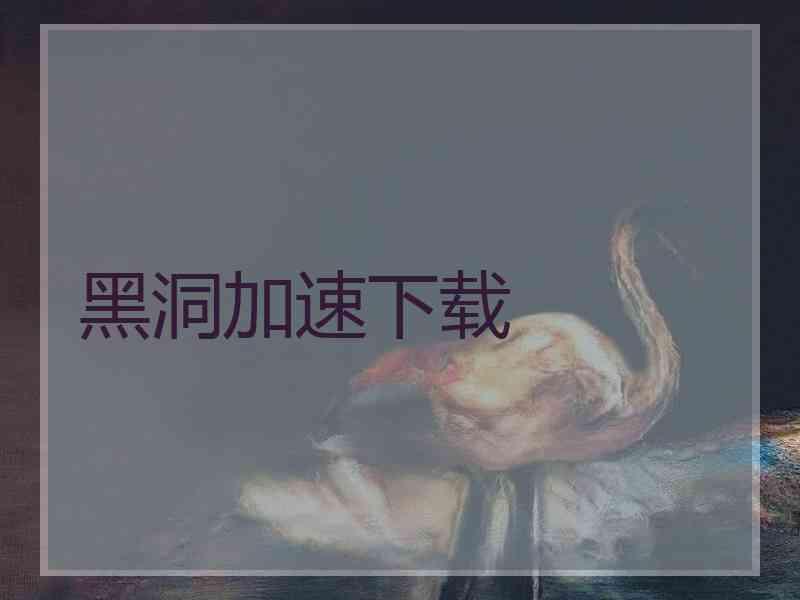 黑洞加速下载