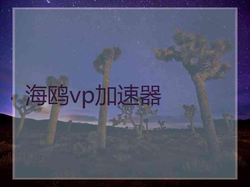 海鸥vp加速器