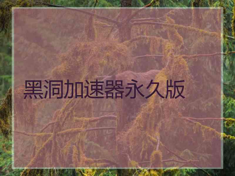 黑洞加速器永久版