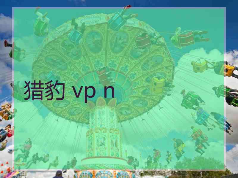 猎豹 vp n