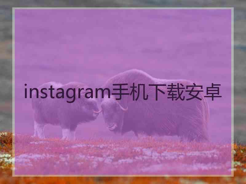 instagram手机下载安卓