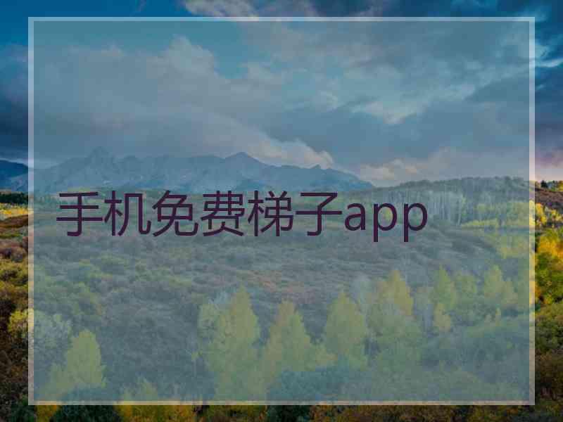 手机免费梯子app
