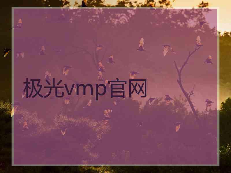极光vmp官网