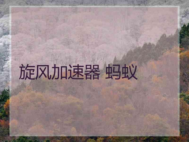 旋风加速器 蚂蚁