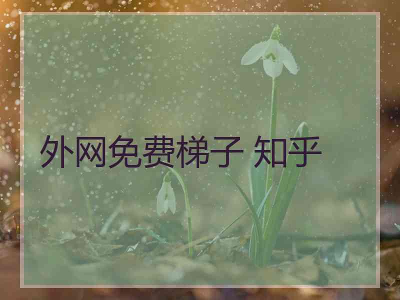外网免费梯子 知乎