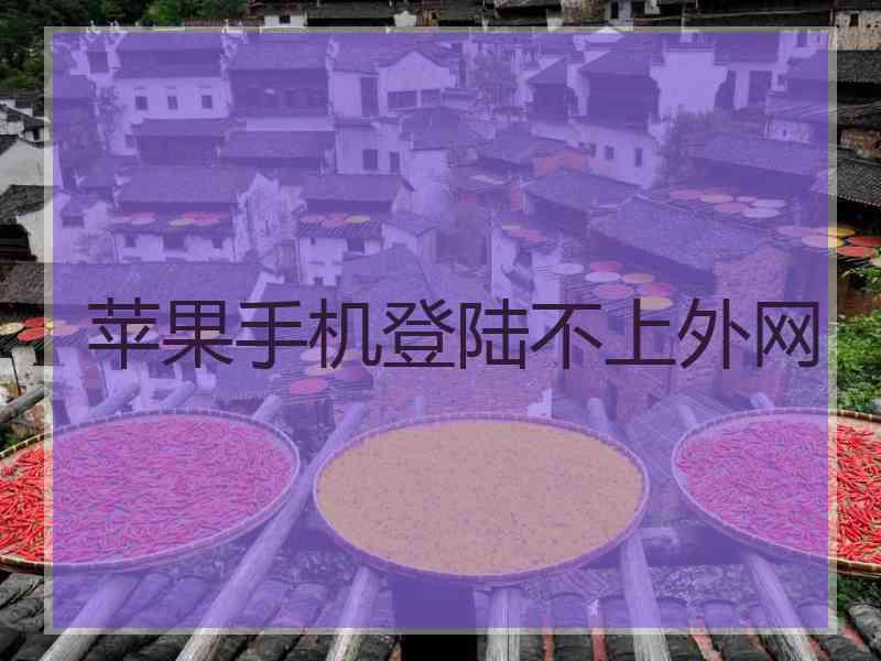 苹果手机登陆不上外网