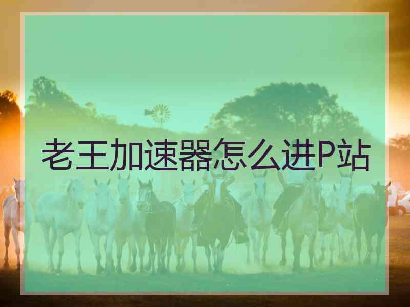 老王加速器怎么进P站