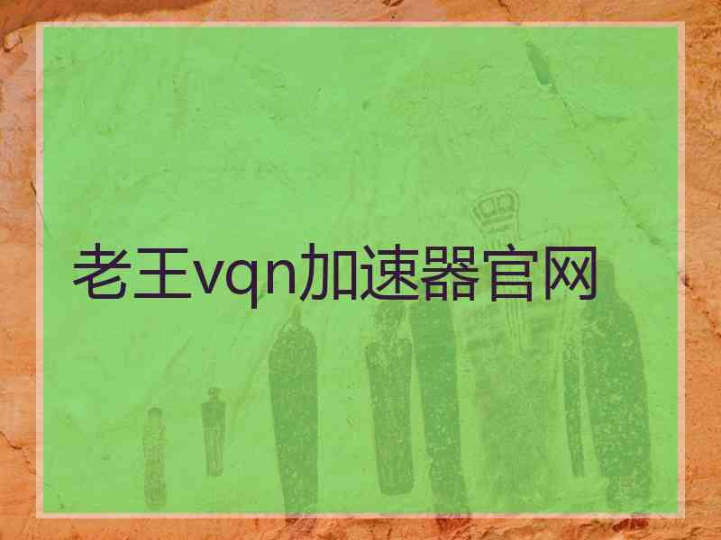 老王vqn加速器官网