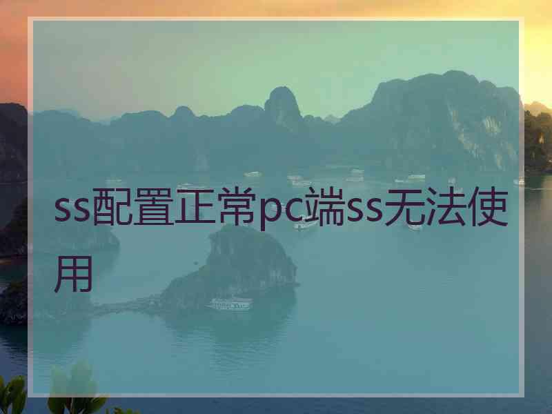 ss配置正常pc端ss无法使用