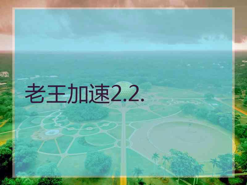 老王加速2.2.