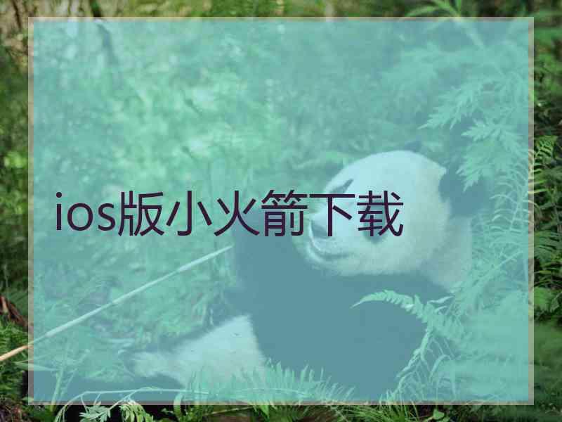 ios版小火箭下载