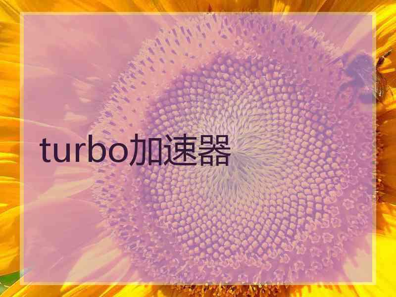 turbo加速器