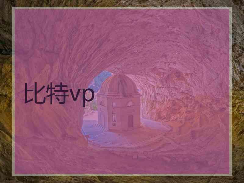 比特vp