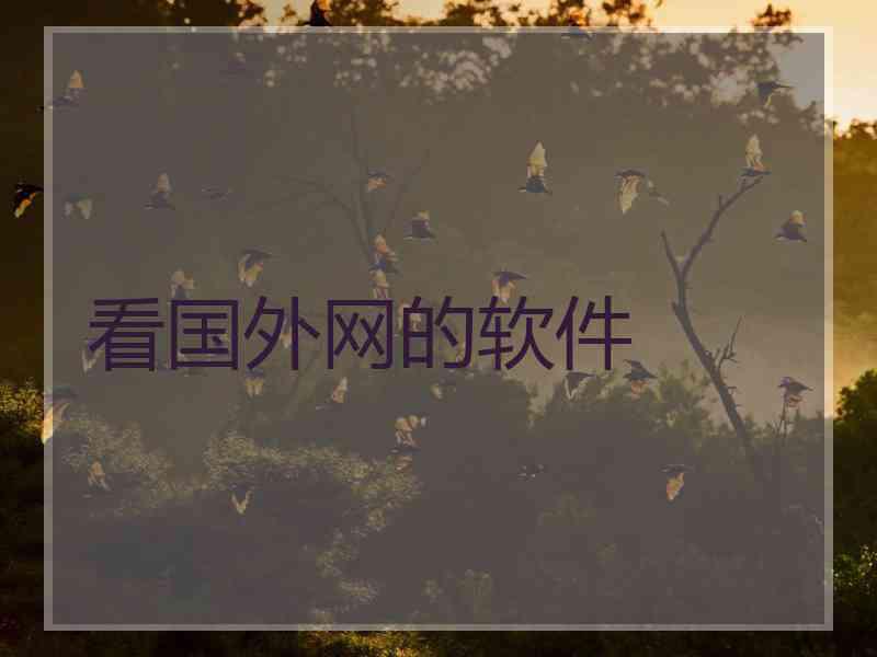 看国外网的软件