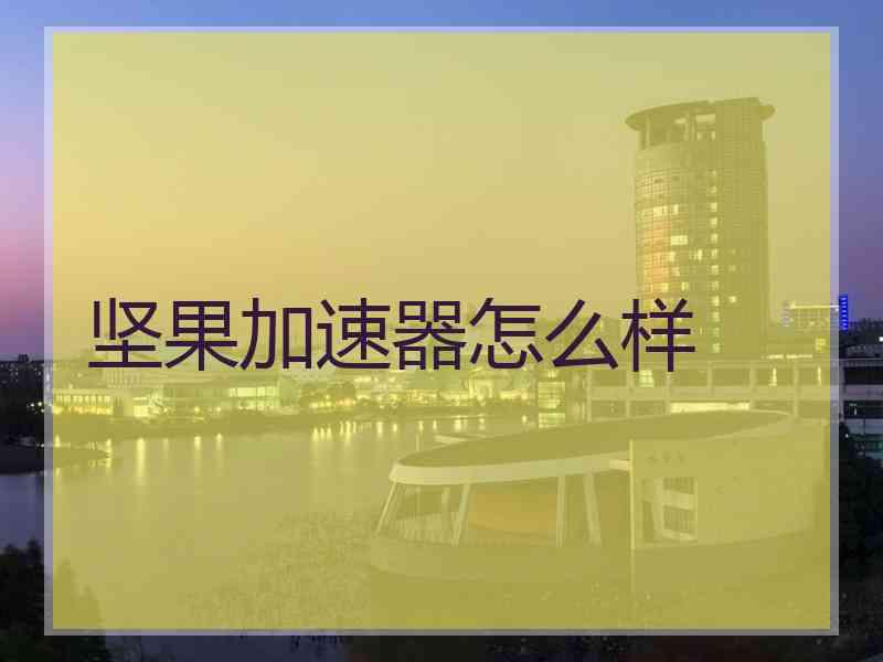 坚果加速器怎么样