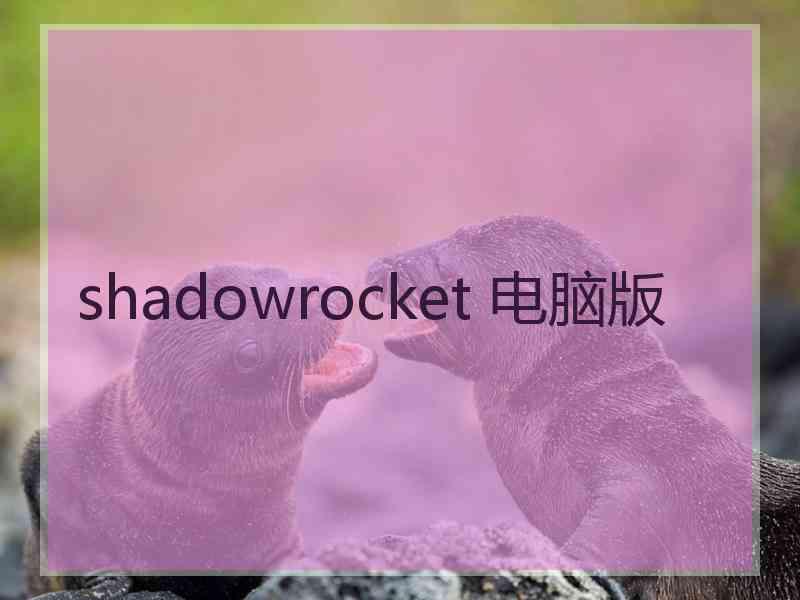 shadowrocket 电脑版