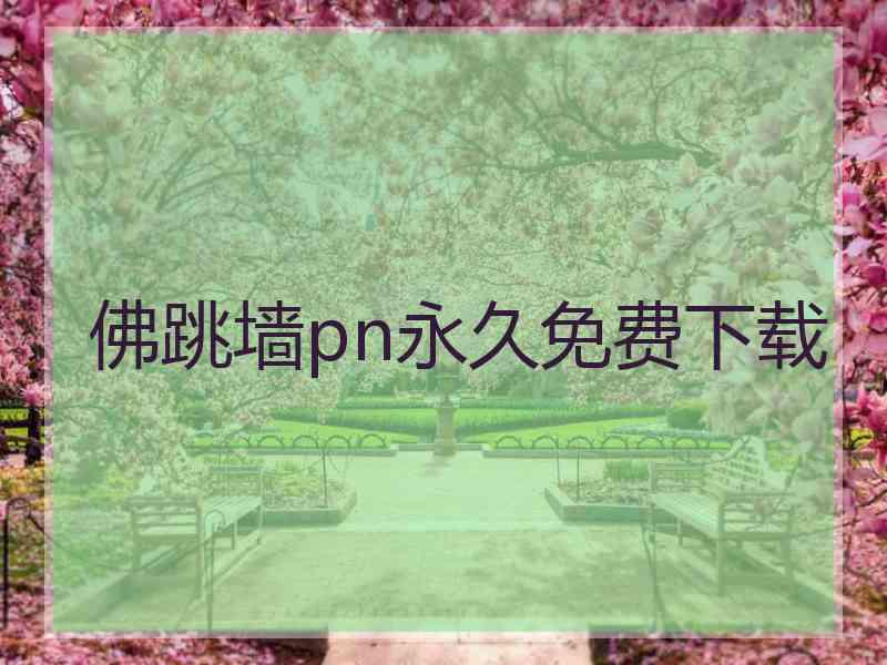 佛跳墙pn永久免费下载
