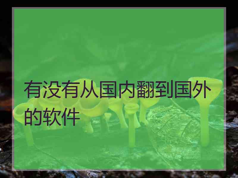 有没有从国内翻到国外的软件