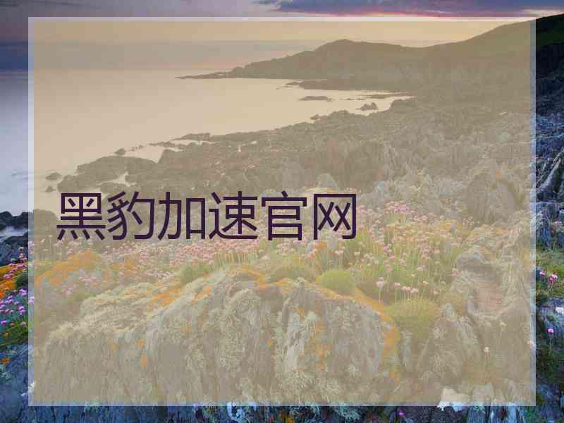 黑豹加速官网