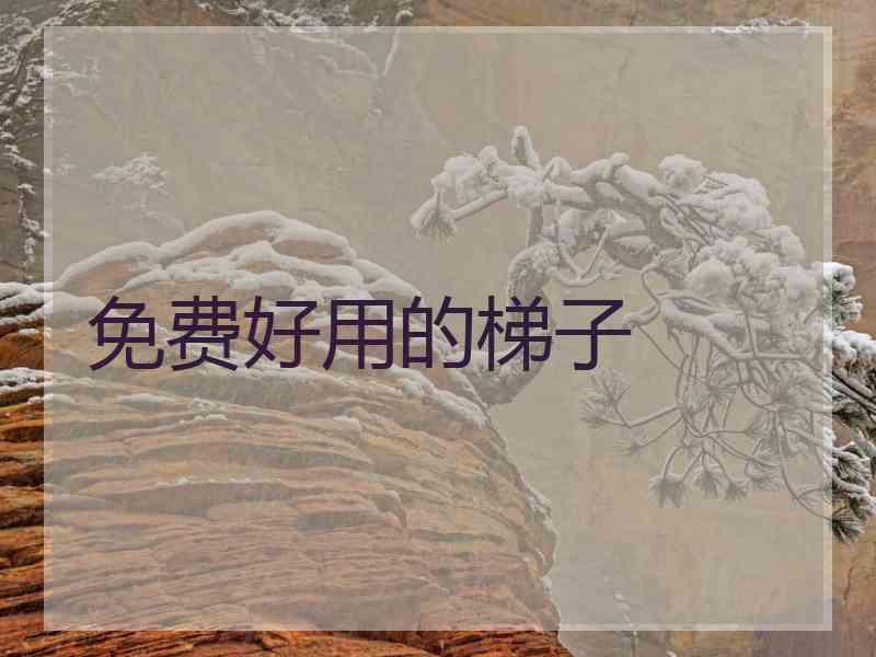 免费好用的梯子