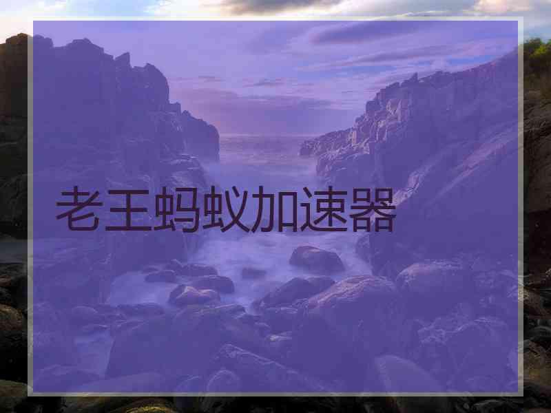 老王蚂蚁加速器