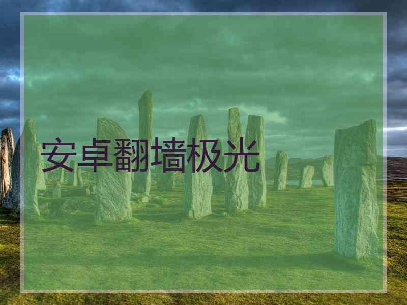 安卓翻墙极光