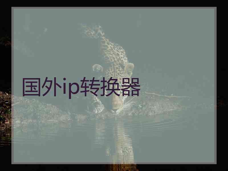 国外ip转换器