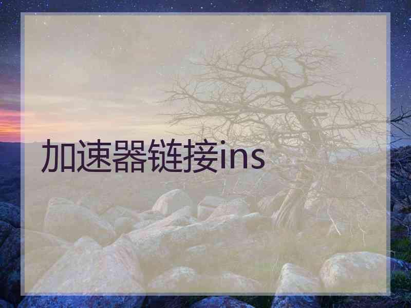 加速器链接ins