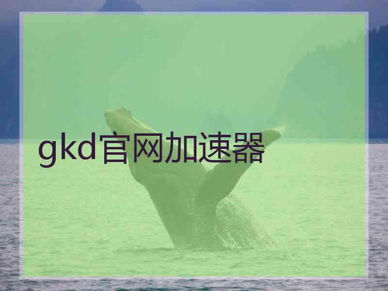 gkd官网加速器