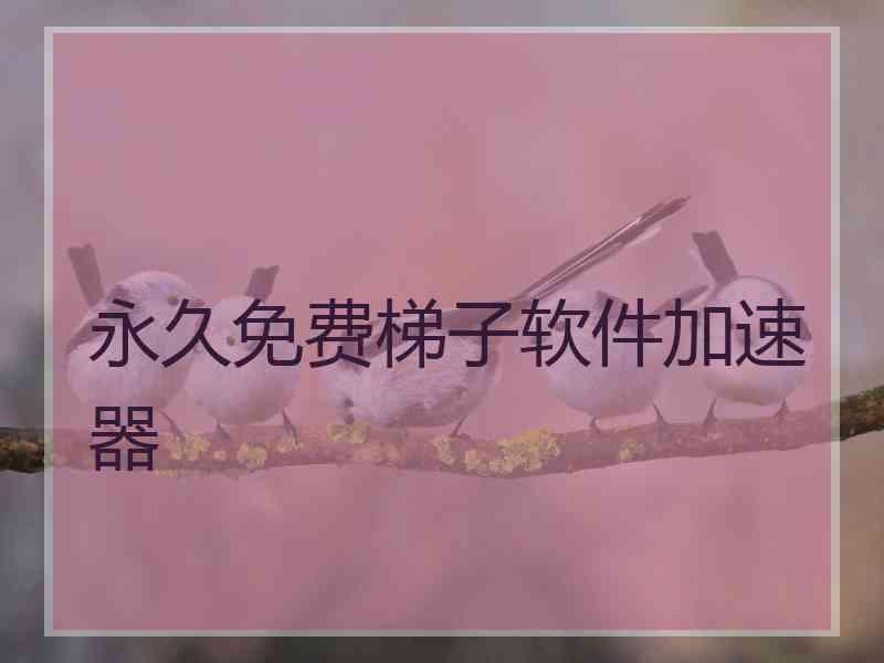 永久免费梯子软件加速器