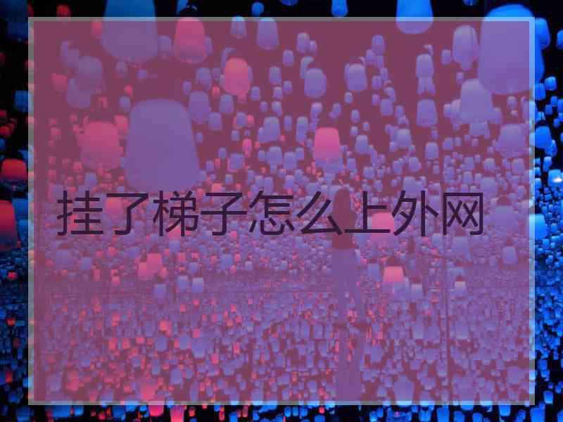 挂了梯子怎么上外网