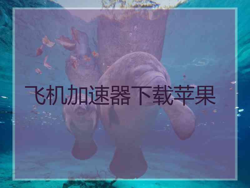 飞机加速器下载苹果