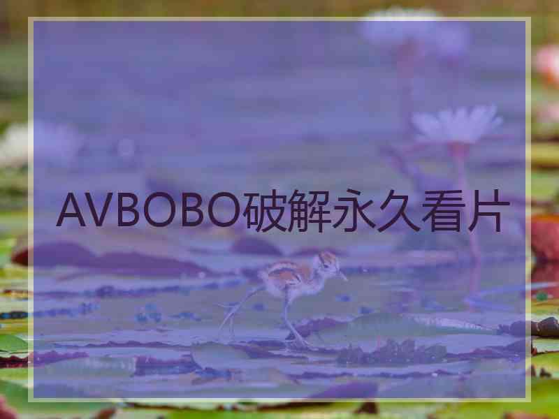 AVBOBO破解永久看片