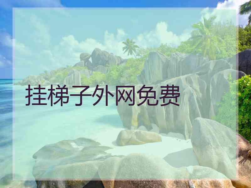 挂梯子外网免费