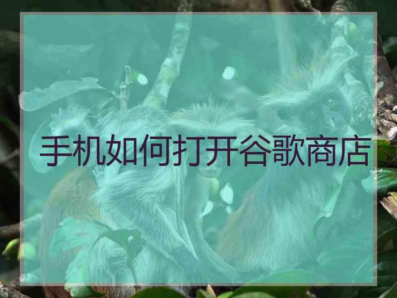 手机如何打开谷歌商店