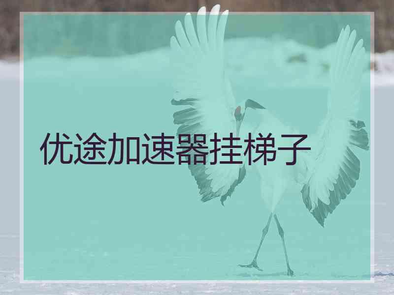优途加速器挂梯子
