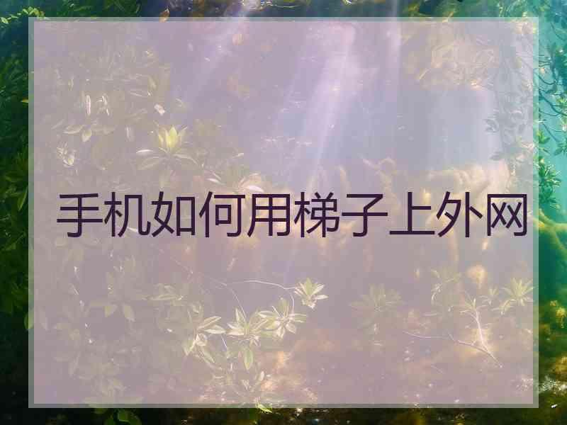 手机如何用梯子上外网
